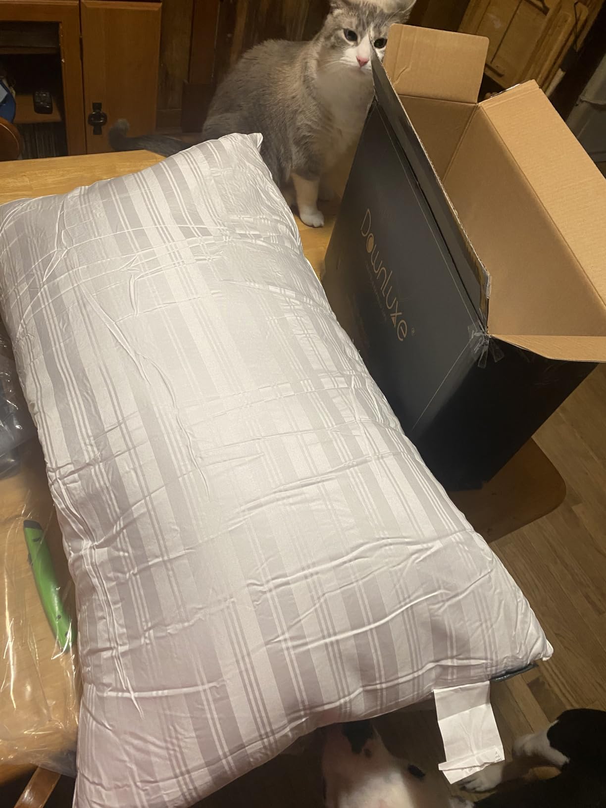 A cat sits on a table beside a luxe Goose Feather Down Pillow, showcasing its comfort and style in use.